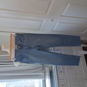 Everlane Womens Mid-Rise Light Wash Skinny Straight Ankle Stretch Jeans 26 Ankle